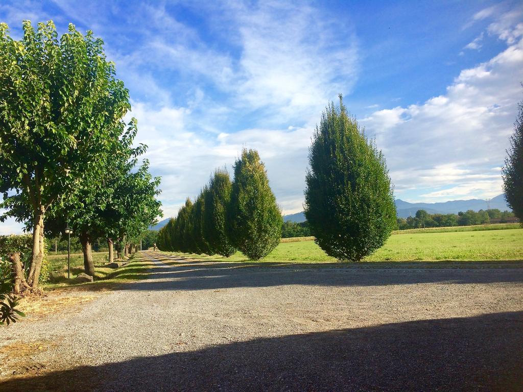 Farm stay Agriturismo Ca Del Lupo Pallazzolo sull'Oglio