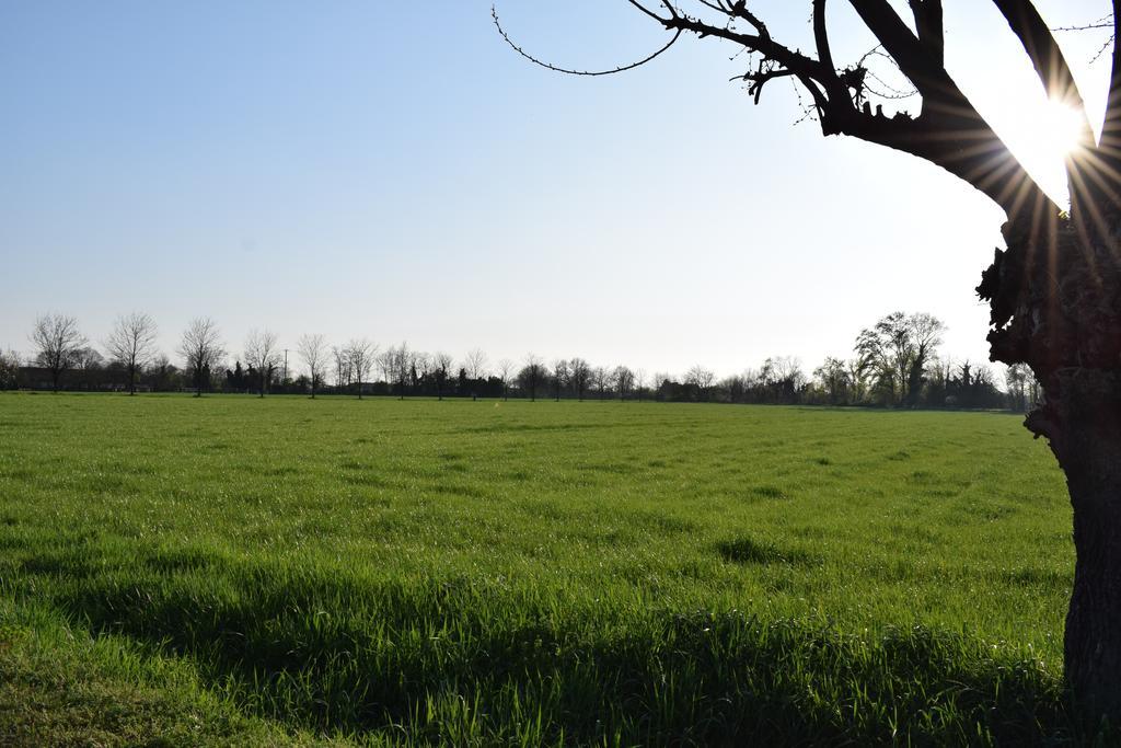 Agriturismo Ca Del Lupo Farm stay *