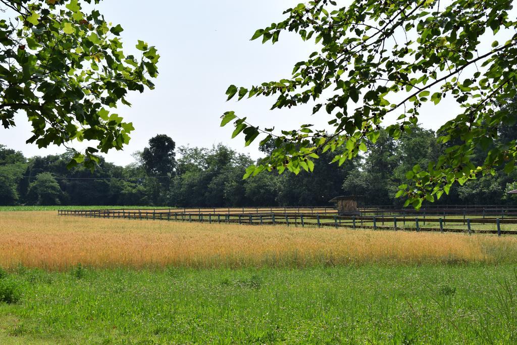 Farm stay Agriturismo Ca Del Lupo Pallazzolo sull'Oglio