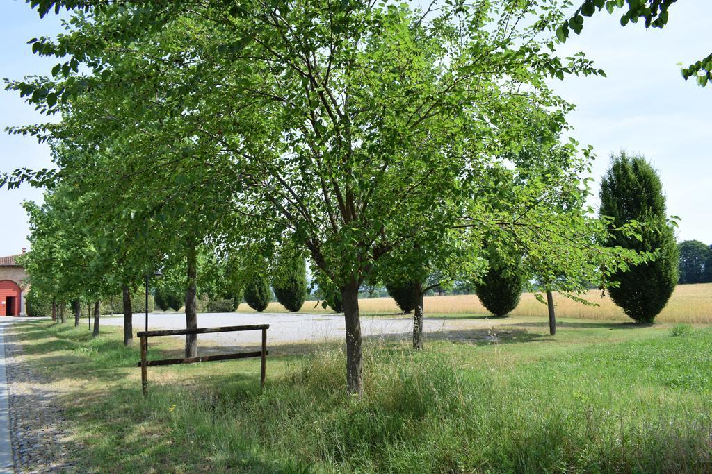 Farm stay Agriturismo Ca Del Lupo